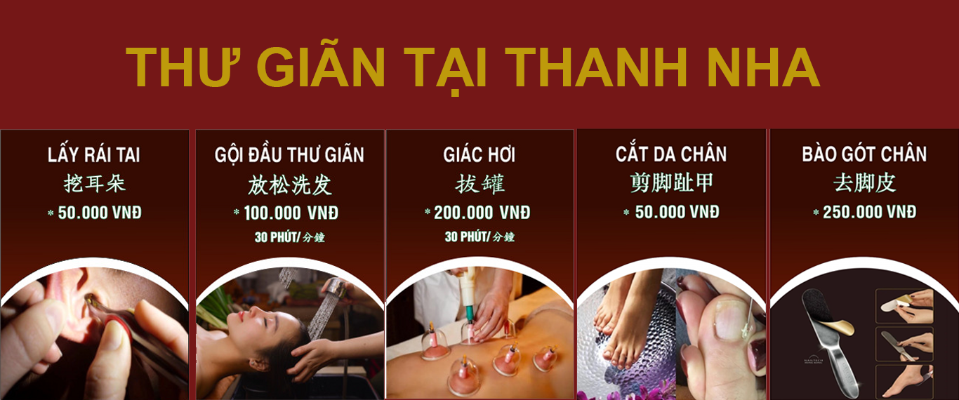 CÔNG TY TNHH MTV THANH NHA